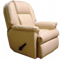 Lounge Recliner 1